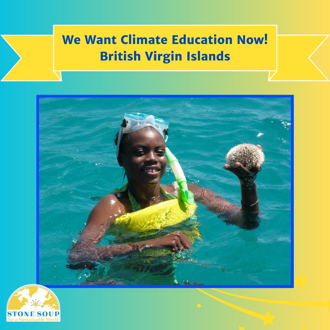 CTA-British-Virgin-Islands.jpg